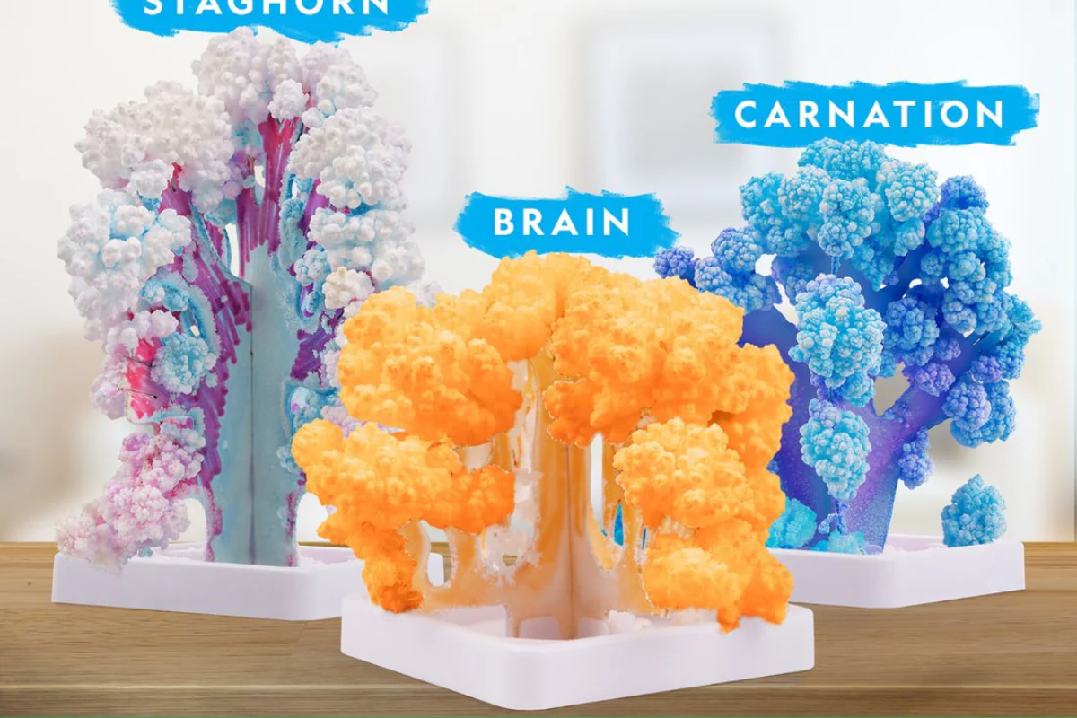 kham-pha-bo-thi-nghiem-nuoi-san-ho-tinh-the-nat-geo-steam